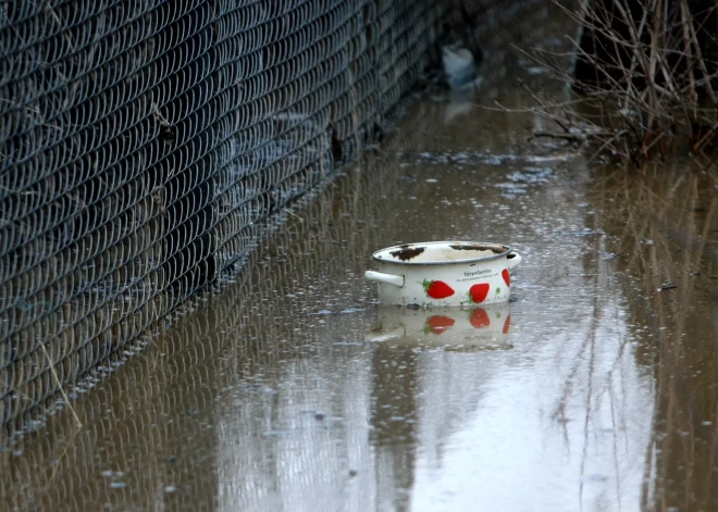 Латвия готовится к наводнениям: экстренные службы и ответственные учреждения проведут совещание