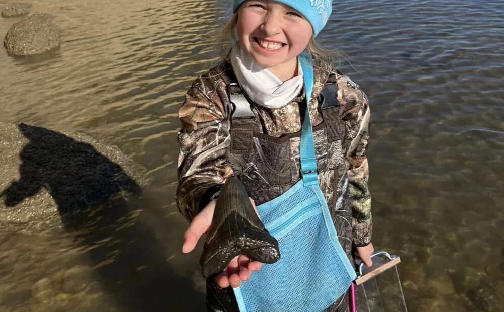 9 gadus veca meitene atrod aizvēsturiskas haizivs gigantisko zobu