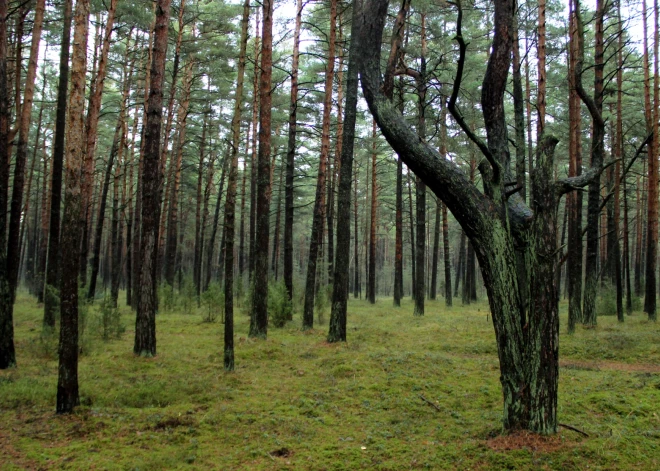 Pirmdien Latvijā nav gaidāmi lieli nokrišņi