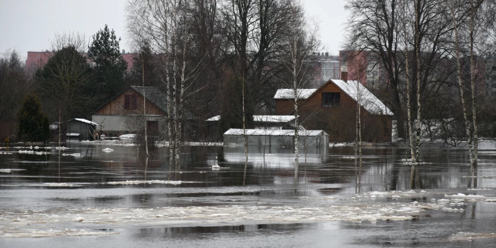 Ceļoties ūdens līmenim Daugavā un Sakas upē, sākusi applūst Sakas sala Jēkabpils novadā.