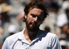 Ernests Gulbis