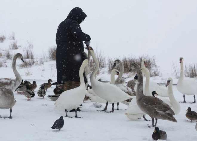 Tuvākajās dienās Latvijā gaidāms neliels sals