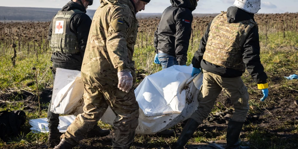 Иллюстративное фото