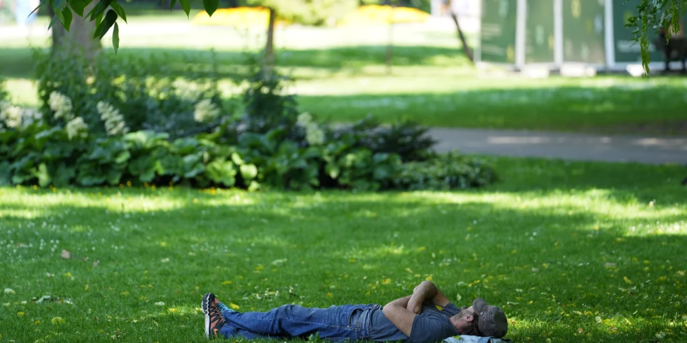 Kanālmalas apstādījumi.