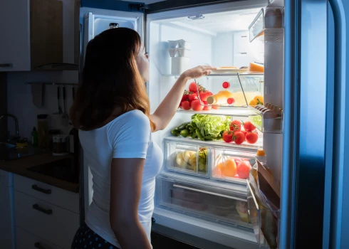 Viens no lielākajiem elektrības “rijējiem” atrodas tavā virtuvē! Padomi, kā efektīvi lietot ledusskapi