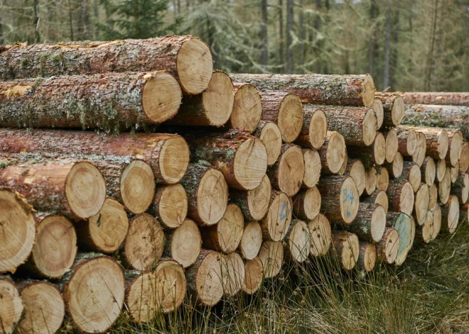 Mežizstrāde var būt atbalsts krīzes situācijā gan šodien, gan nākotnē