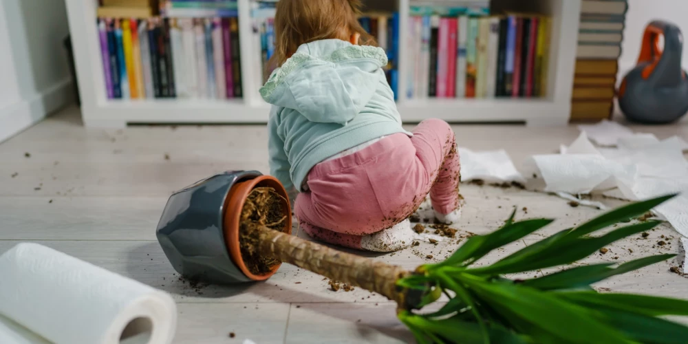 Kārtības un tīrīguma karaliene Kondo paziņo, ka ir padevusies saglabāt māju tīru pēc bērniem