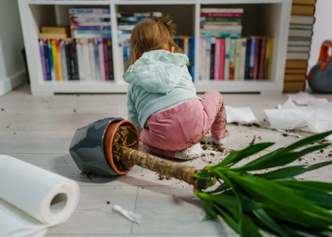 Kārtības un tīrīguma karaliene Kondo paziņo, ka ir padevusies saglabāt māju tīru pēc bērniem