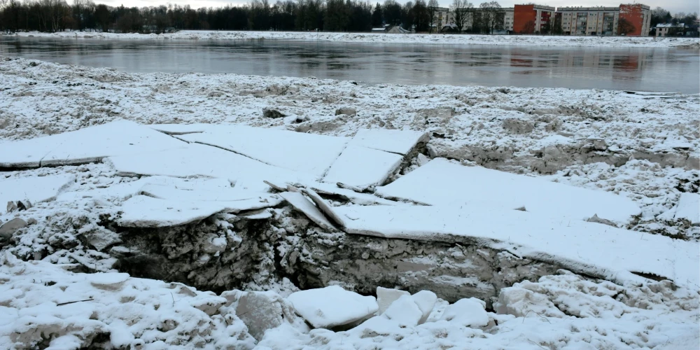 Vižņi Daugavā pie Jēkabpils pēc plūdiem.