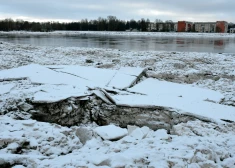 Vižņi Daugavā pie Jēkabpils pēc plūdiem.