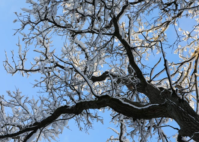 Šodien debesis brīžiem skaidrosies