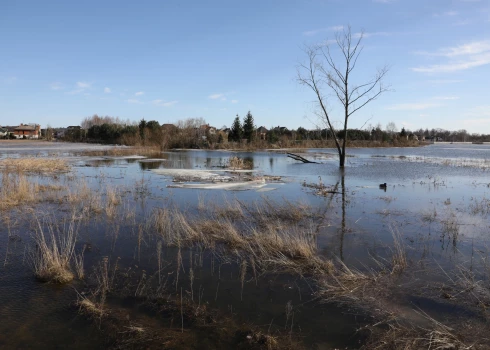 Applūdušās Svētes palienas pļavas, 2021. gada 2. marts. 