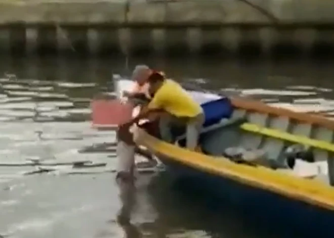 VIDEO: Indonēzijā krokodils palīdz glābējiem atrast noslīkuša bērna ķermeni