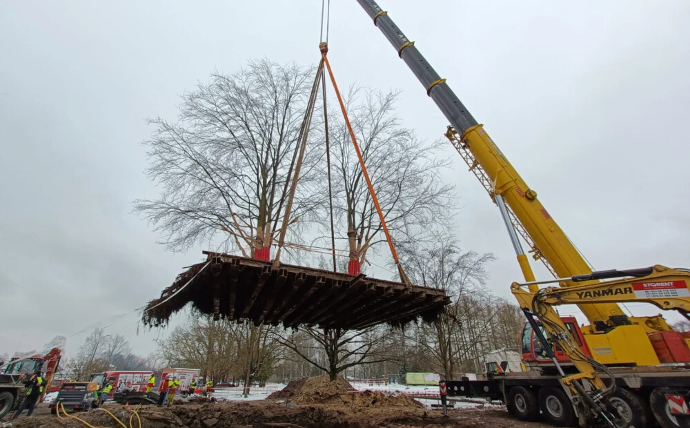 Unikāla operācija Rīgā: Uzvaras parkā vienlaikus pārstādīti divi koki 60 tonnu kopsvarā. FOTO
