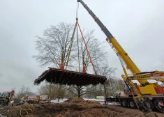 Unikāla operācija Rīgā: Uzvaras parkā vienlaikus pārstādīti divi koki 60 tonnu kopsvarā. FOTO