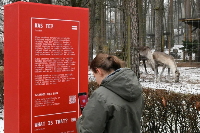 Artūra Analta izstāde "Kas te?".