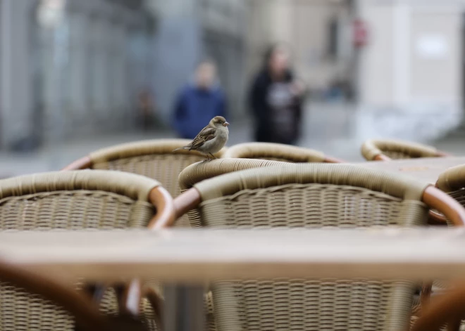 Izbeigts restorānu īpašnieka "Rosinter Restaurants" maksātnespējas process