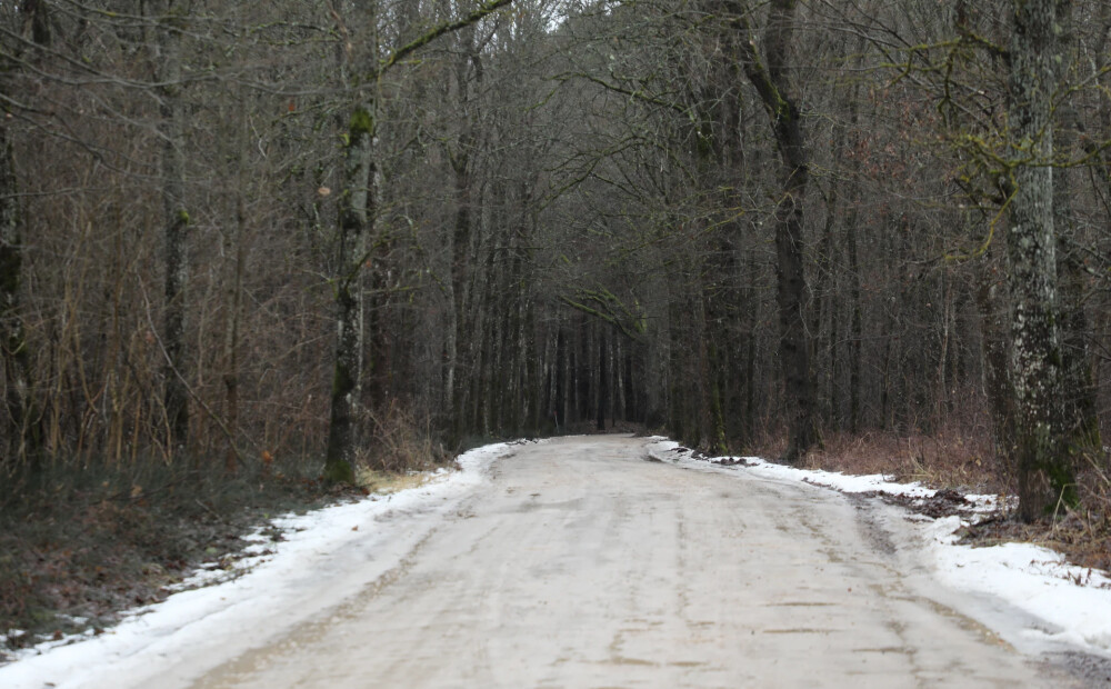 Sniegs un apledojums daudzviet Latvijā apgrūtina braukšanu pa valsts galvenajiem un reģionālajiem autoceļiem