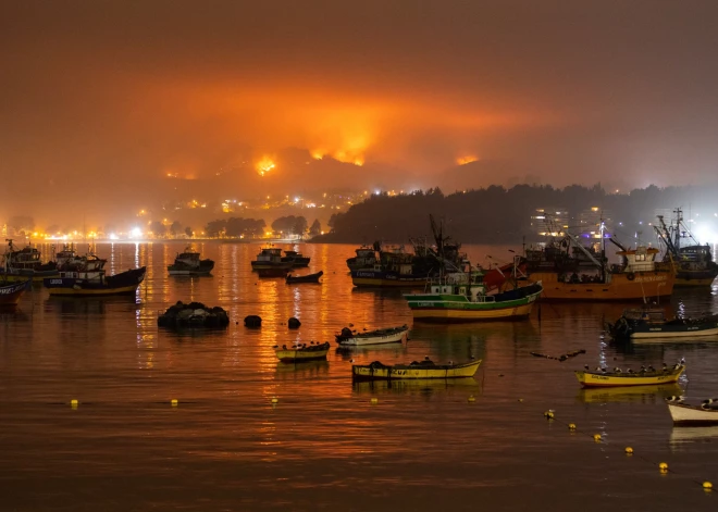 Postoši mežu ugunsgrēki Čīlē (foto: Scanpix)