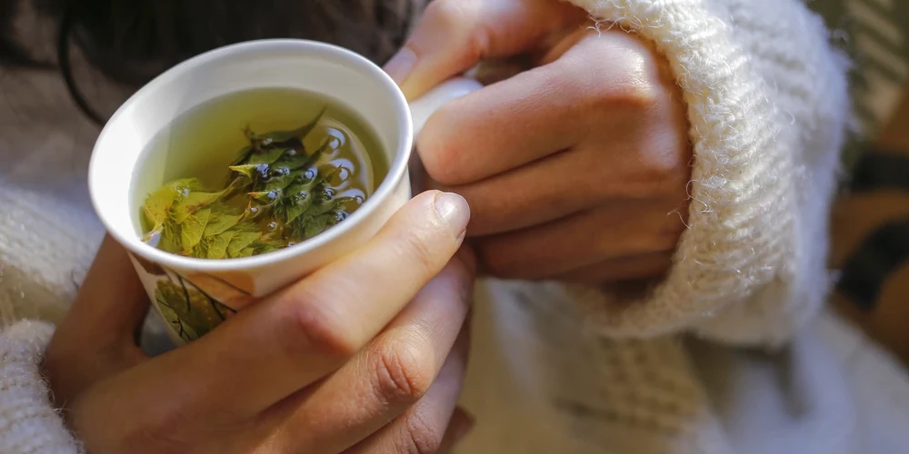 Советы для лечения больного горла: какие лекарственные растения, травяные чаи и аэрозоли помогут