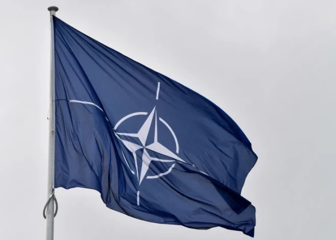 Сайты НАТО подверглись массированной хакерской атаке