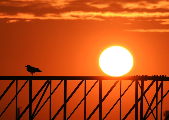 Šodiena būs saulaina un silta