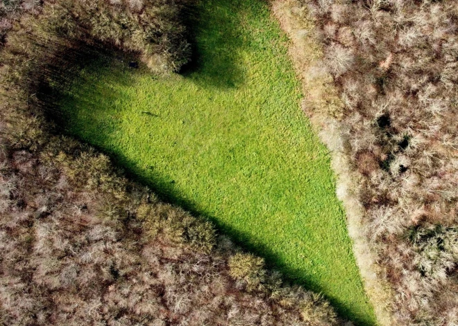 Britu fermeris Vinstons Houzs par godu mirušajai mīlestībai izveidoja skaistu ozolkoka dārzu, kuru atklāja nejaušs ceļotājs no gaisa balona.