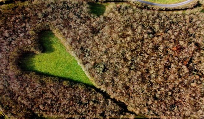 Britu fermeris Vinstons Houzs par godu mirušajai mīlestībai izveidoja skaistu ozolu dārzu, kuru atklāja nejaušs ceļotājs no gaisa balona.