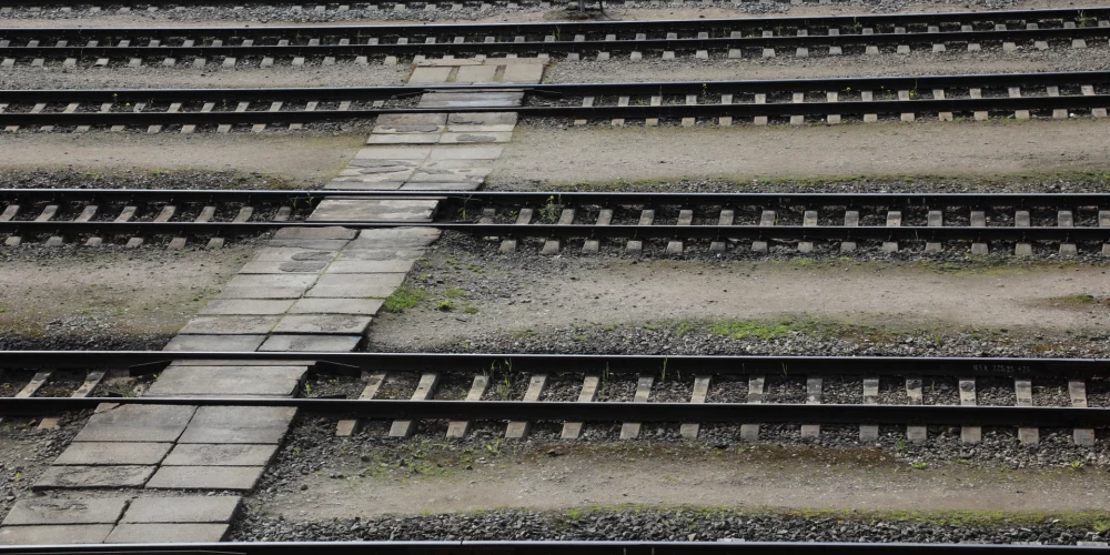  Иллюстративное фото