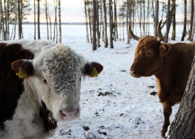 Laika prognoze sestdienai