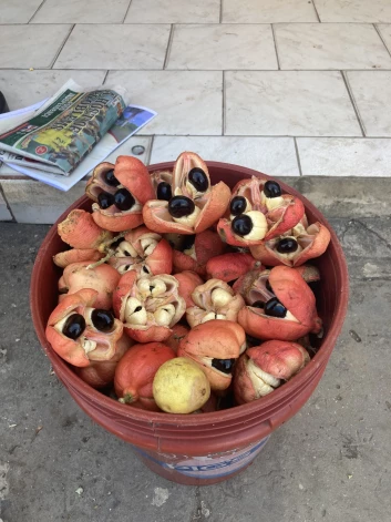 Ямайкский фрукт аки, который в вареном виде по вкусу напоминает омлет