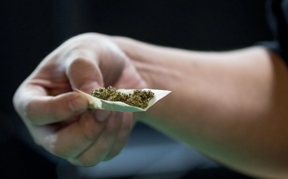Nīderlande sāks vairākkārt atlikto eksperimentu ar legāli audzētas marihuānas tirdzniecību