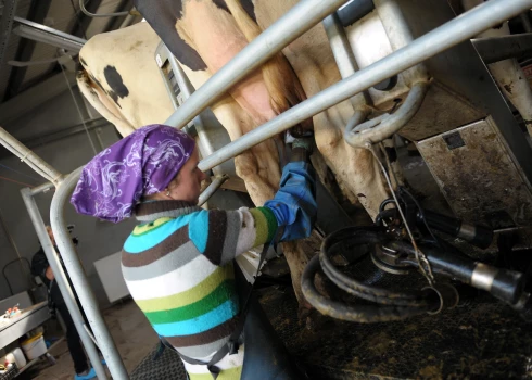 Pārtikas tirgotāji un zemnieki aicina valdību samazināt PVN piena produktiem