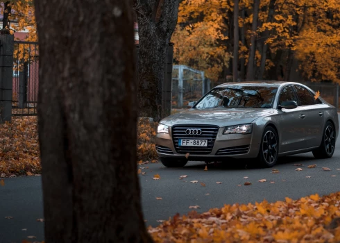 "Audi A8" modelim pērn visvairāk viltots nobraukums
