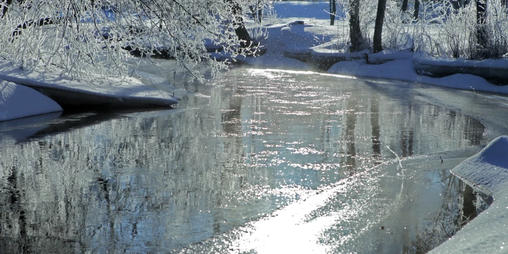 Иллюстративное фото