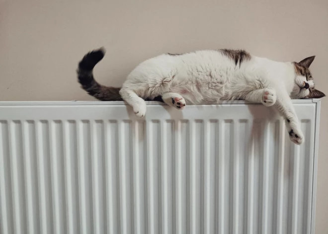 Kā taupīt elektrību, taupot siltumu. Kur mājoklī var pazust siltums?