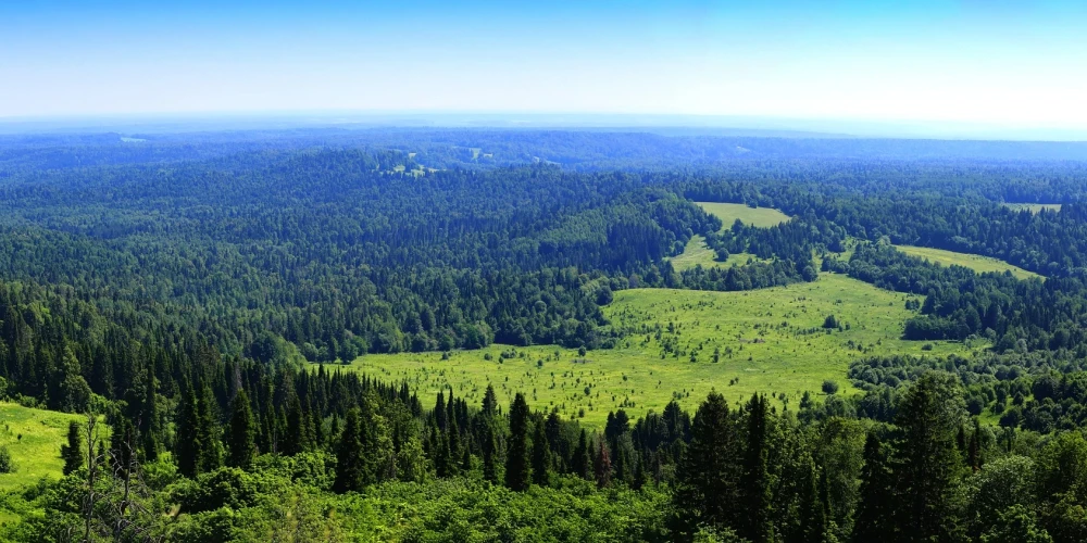 Urāli jeb Urālu kalni ir kalnu grēda, kas atrodas galvenokārt Krievijas rietumu centrālajā daļā starp Volgas upes reģionu rietumos un Rietumsibīrijas līdzenumu austrumos. Kopā ar Urālas upi tie tradicionāli tiek uzskatīti par Eiropas un Āzijas kontinentālās daļas fizioģeogrāfisko robežu. 