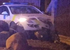 Naktī uz piektdienu, 3. martu, policisti ar savu auto taranēja Pulkveža Brieža 24. nama žogu Liepājas Karostā.