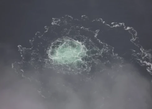 Ukraina un tās sabiedrotie gadiem ilgi iebilda pret "Nord Stream" projektu, uzskatot to par draudu nacionālajai drošībai. Taču Ukrainas valdība un militārpersonas noliedz jebkādu saistību ar sabotāžu un apgalvoja, ka nezina, kas to īstenojis.