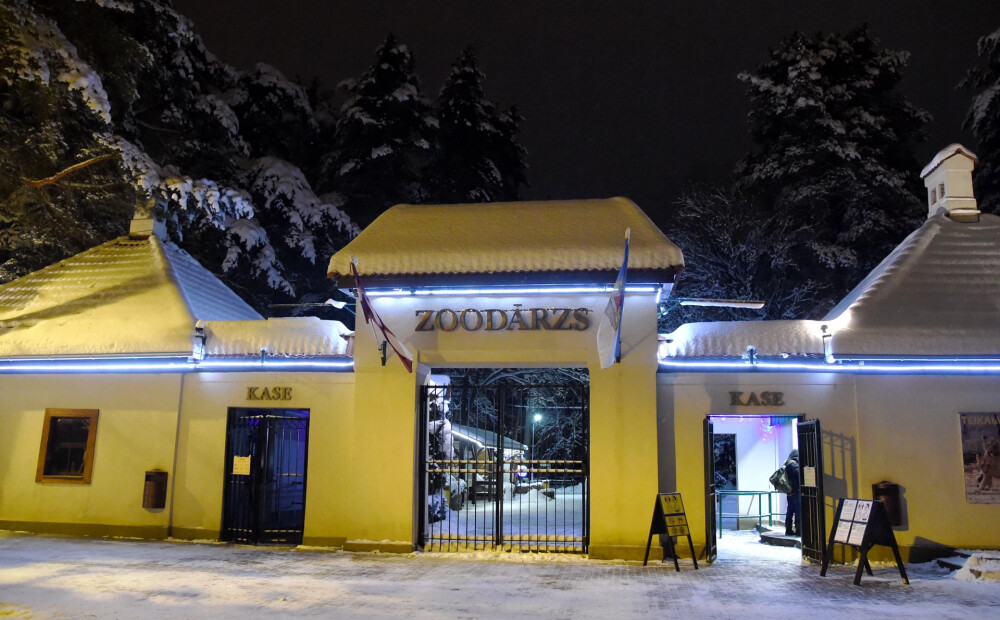 Rīgas Nacionālajā zooloģiskajā dārzā gaidāms radošuma pilns mēnesis - geladu zīmēšanas darbnīca