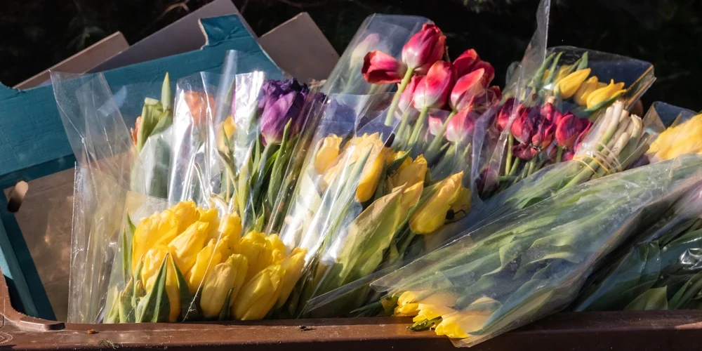 с чем поздравлять в 8 марта