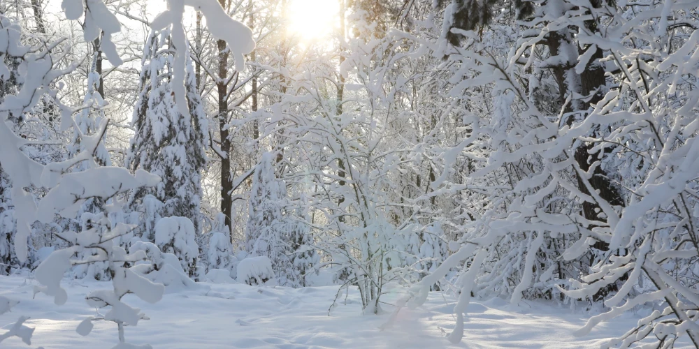 Svētdien Latvijā uzspīdēs saule, gaidāms arī sniegs
