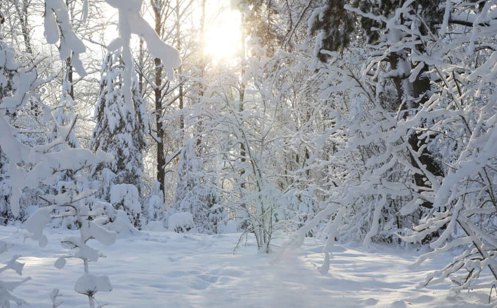 Svētdien Latvijā uzspīdēs saule, gaidāms arī sniegs