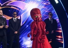 No šova "Balss maskā" sacensības izstājas Astoņkājis