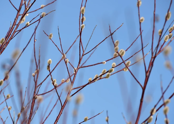 Šodien valsts lielākajā daļā spīdēs saule