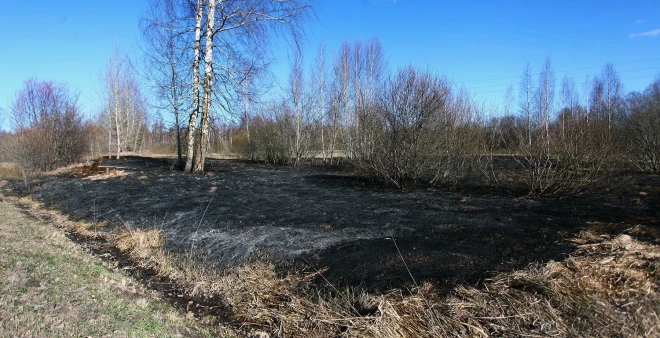 Jelgavā trešdien dzēsts šosezon pirmais kūlas ugunsgrēks Zemgalē.