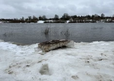 Kontrabandisti nelegālos smēķus no Baltkrievijas uz Latviju pa Daugavu palaiž “brīvpeldē”.