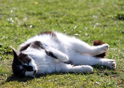 Продолжительность каждого последующего дня станет увеличиваться на неполные пять минут