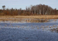 Spēkā dzeltenais brīdinājums par augstu ūdenslīmeni daudzās Latvijas upēs