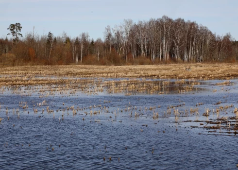 Желтое предупреждение: в реках Латвии стремительно поднимается уровень воды